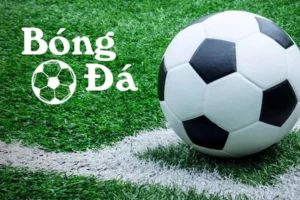 Phân Biệt Tình Huống Bóng Trong Cuộc Và Bóng Ngoài Cuộc Chính Xác