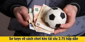 Hướng Dẫn Soi Kèo 2.75 Tại 1Gom Để Tối Ưu Hóa Lợi Nhuận Cá Cược