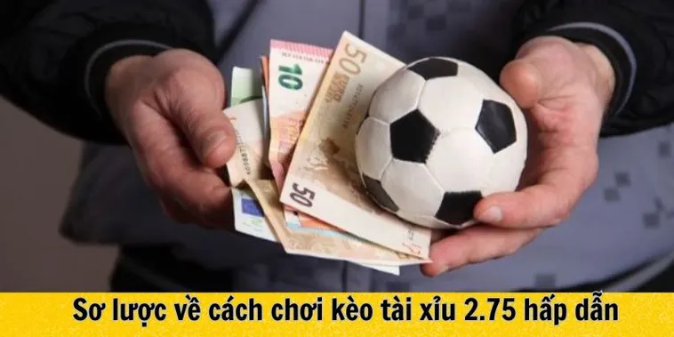 Hướng Dẫn Soi Kèo 2.75 Tại 1Gom Để Tối Ưu Hóa Lợi Nhuận Cá Cược