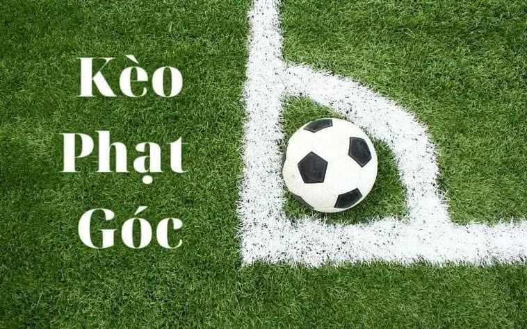 Hướng Dẫn Bắt Kèo Phạt Góc Bóng Đá Tại 1Gom Dựa Trên Số Liệu Thực Tế
