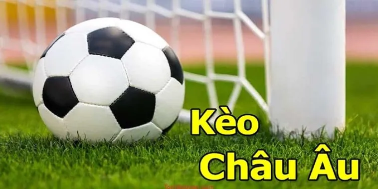 Hướng Dẫn Cách Soi Kèo Châu Âu Tại 1Gom Hiệu Quả Cho Các Bet Thủ