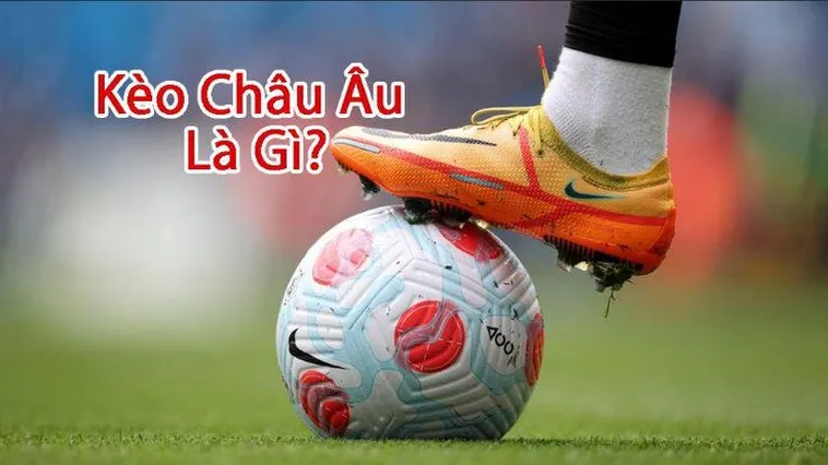 Hướng Dẫn Cách Soi Kèo Châu Âu Tại 1Gom Hiệu Quả Cho Các Bet Thủ