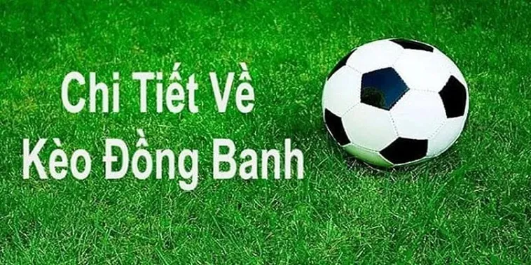 Cách Đánh Kèo Đồng Banh Tại 1Gom Luôn Thắng Cho Người Mới Bắt Đầu