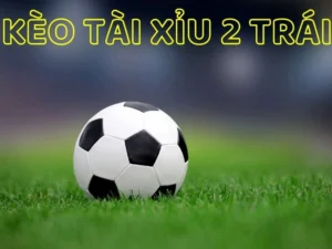 Chiến Thuật Soi Kèo Tài Xỉu Bóng Đá Tại 1Gom Giúp Bạn Thắng Lớn Mỗi Ngày