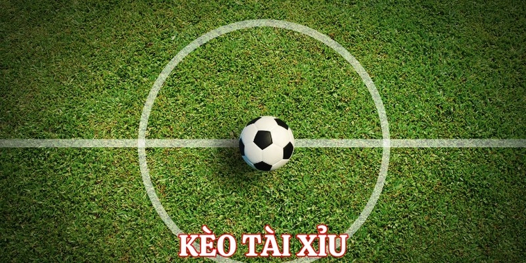 Chiến Thuật Soi Kèo Tài Xỉu Bóng Đá Tại 1Gom Giúp Bạn Thắng Lớn Mỗi Ngày