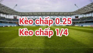 Hướng Dẫn Soi Kèo Chấp 0.25 Tại 1Gom Giúp Người Chơi Luôn Có Lợi Nhuận Cao