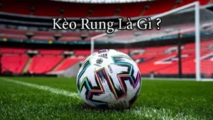 Bí Quyết Đánh Kèo Rung Trong Bóng Đá Tại 1Gom Giúp Bạn Thắng Lớn Mỗi Ngày